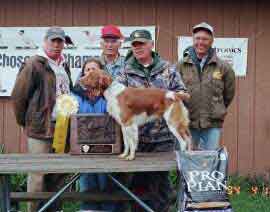 National Gun Dog Awards