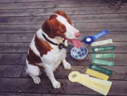 Jake with ribbons